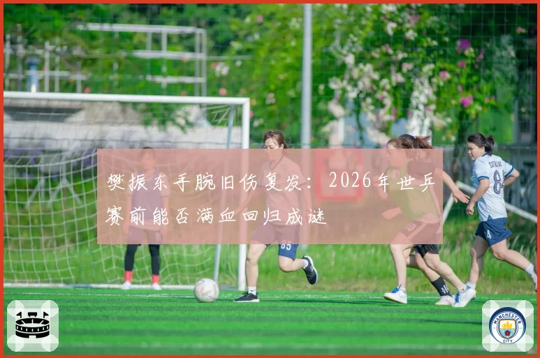樊振东手腕旧伤复发:2026年世乒赛前能否满血回归成谜