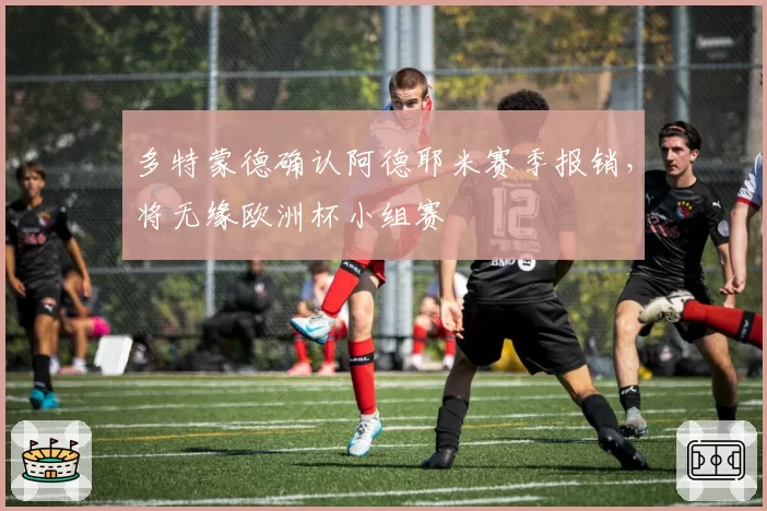 多特蒙德确认阿德耶米赛季报销，将无缘欧洲杯小组赛